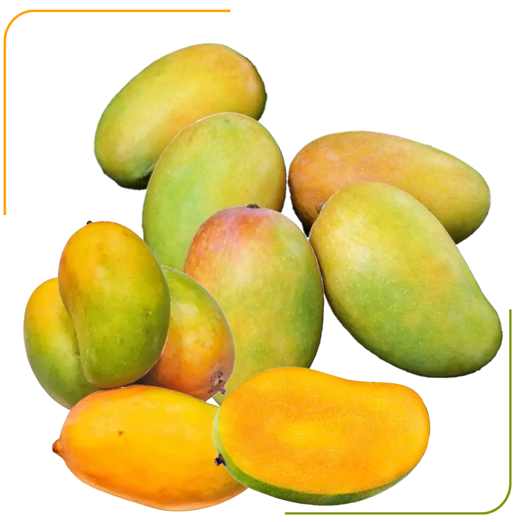 Kesar mangoes